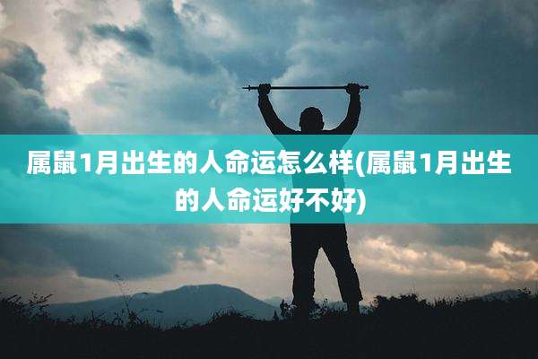 属鼠1月出生的人命运怎么样(属鼠1月出生的人命运好不好)