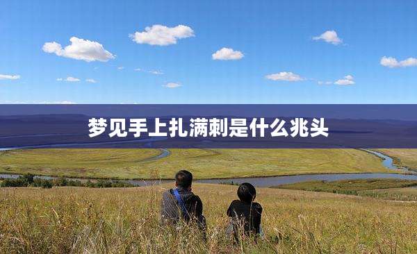梦见手上扎满刺是什么兆头
