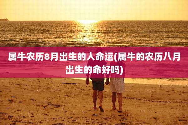 属牛农历8月出生的人命运(属牛的农历八月出生的命好吗)