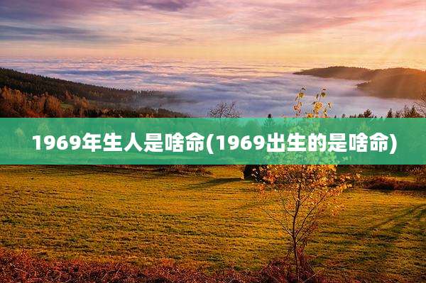 1969年生人是啥命(1969出生的是啥命)
