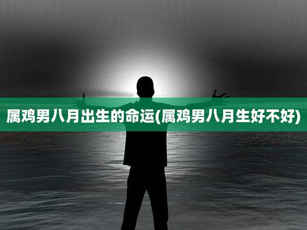 属鸡男八月出生的命运(属鸡男八月生好不好)