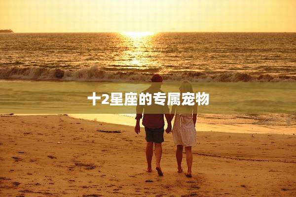 十2星座的专属宠物