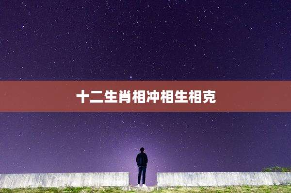 十二生肖相冲相生相克