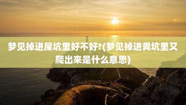 梦见掉进屎坑里好不好?(梦见掉进粪坑里又爬出来是什么意思)