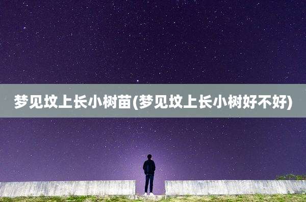 梦见坟上长小树苗(梦见坟上长小树好不好)