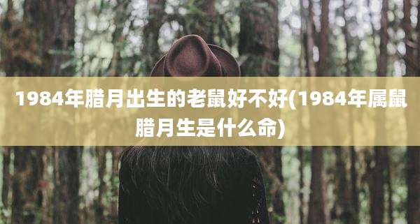 1984年腊月出生的老鼠好不好(1984年属鼠腊月生是什么命)