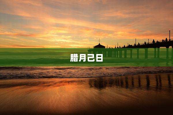 腊月己日