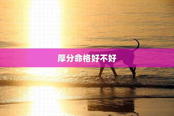 厚分命格好不好