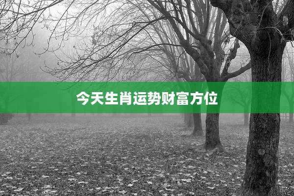 今天生肖运势财富方位