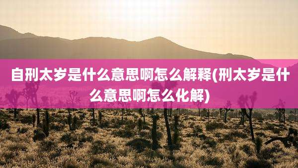 自刑太岁是什么意思啊怎么解释(刑太岁是什么意思啊怎么化解)