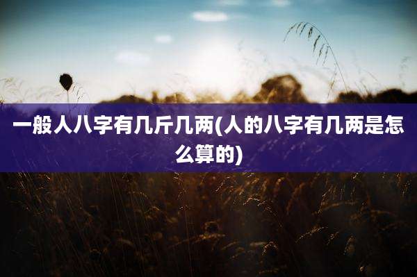 一般人八字有几斤几两(人的八字有几两是怎么算的)