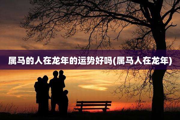 属马的人在龙年的运势好吗(属马人在龙年)