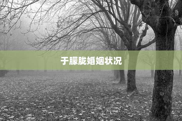 于朦胧婚姻状况