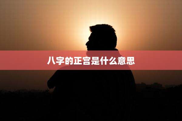 八字的正宫是什么意思