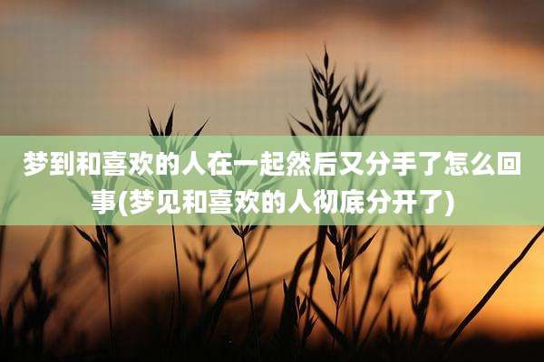 梦到和喜欢的人在一起然后又分手了怎么回事(梦见和喜欢的人彻底分开了)