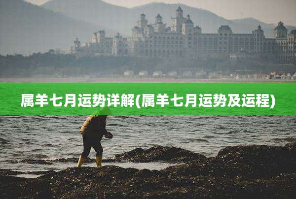 属羊七月运势详解(属羊七月运势及运程)
