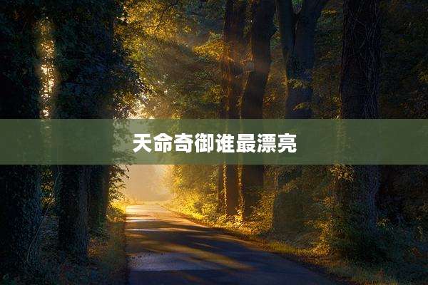 天命奇御谁最漂亮