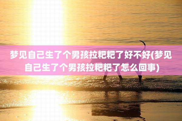 梦见自己生了个男孩拉粑粑了好不好(梦见自己生了个男孩拉粑粑了怎么回事)