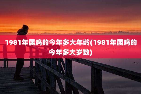 1981年属鸡的今年多大年龄(1981年属鸡的今年多大岁数)