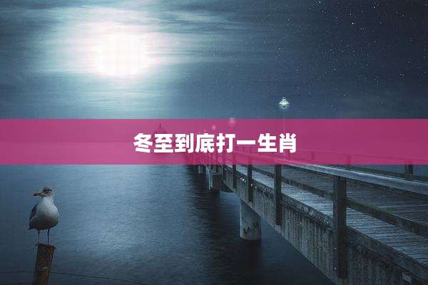 冬至到底打一生肖