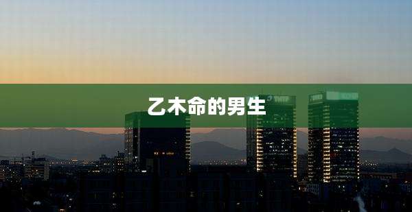乙木命的男生