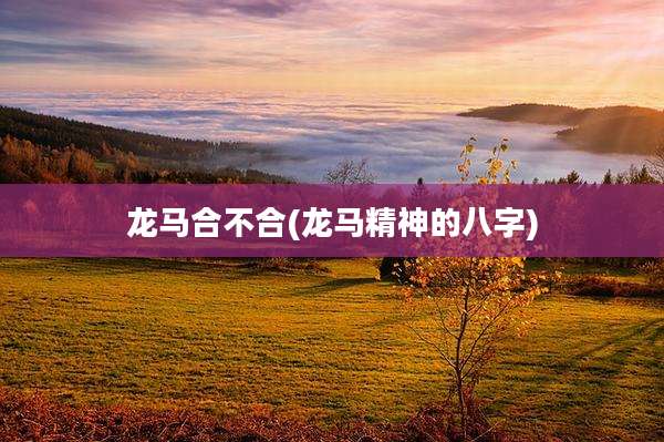 龙马合不合(龙马精神的八字)