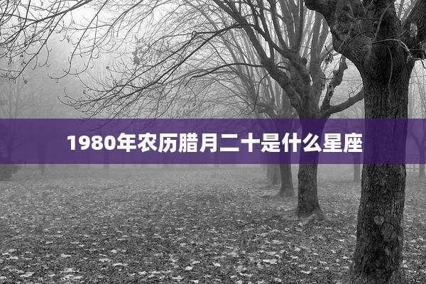 1980年农历腊月二十是什么星座