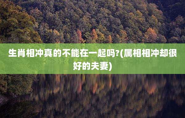生肖相冲真的不能在一起吗?(属相相冲却很好的夫妻)