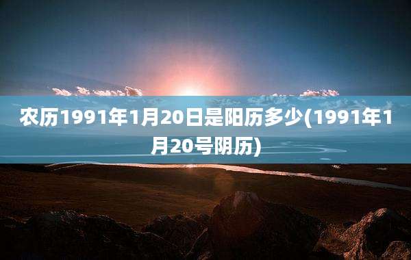 农历1991年1月20日是阳历多少(1991年1月20号阴历)