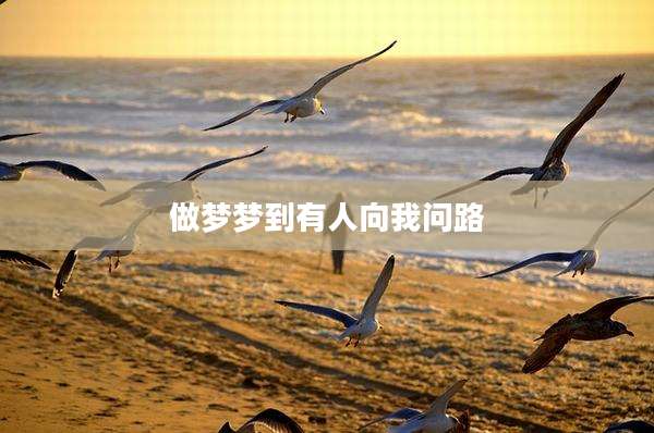 做梦梦到有人向我问路