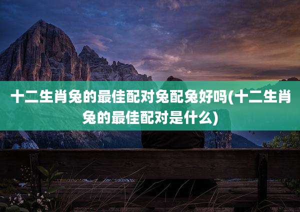 十二生肖兔的最佳配对兔配兔好吗(十二生肖兔的最佳配对是什么)