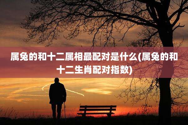 属兔的和十二属相最配对是什么(属兔的和十二生肖配对指数)