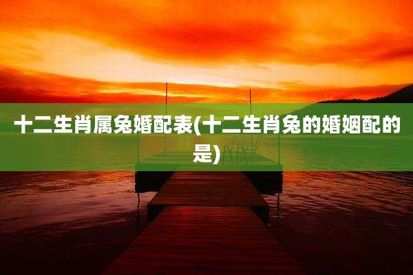 十二生肖属兔婚配表(十二生肖兔的婚姻配的是)