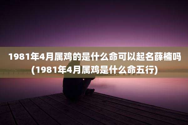 1981年4月属鸡的是什么命可以起名薛楠吗(1981年4月属鸡是什么命五行)