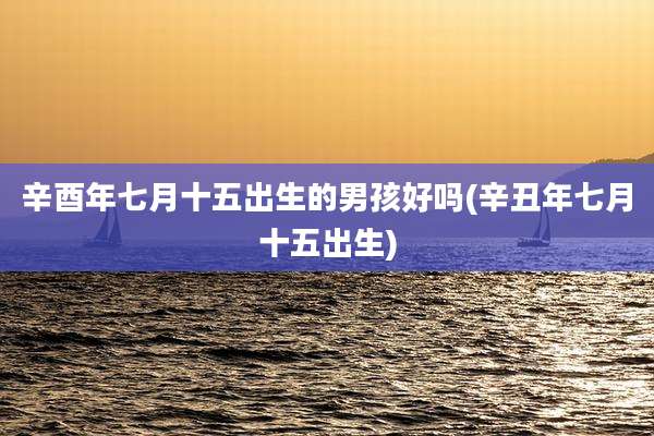 辛酉年七月十五出生的男孩好吗(辛丑年七月十五出生)