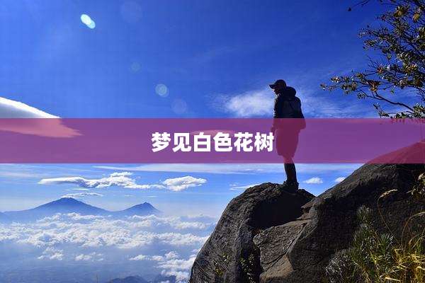 梦见白色花树