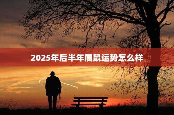 2025年后半年属鼠运势怎么样