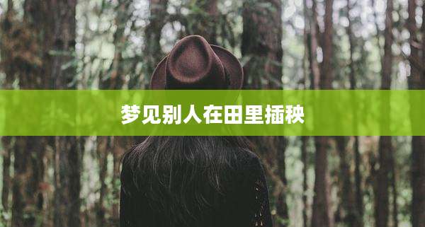 梦见别人在田里插秧