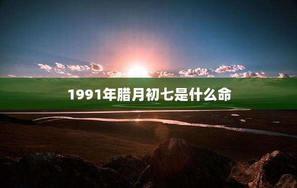 1991年腊月初七是什么命