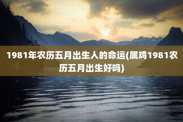 1981年农历五月出生人的命运(属鸡1981农历五月出生好吗)