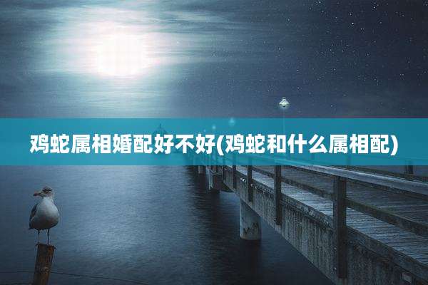 鸡蛇属相婚配好不好(鸡蛇和什么属相配)