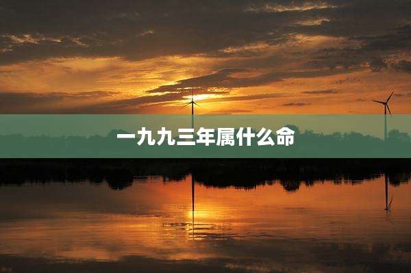 一九九三年属什么命