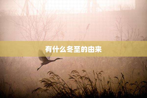 有什么冬至的由来