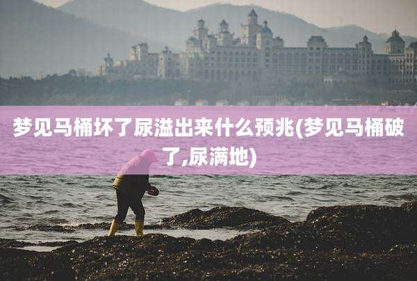 梦见马桶坏了尿溢出来什么预兆(梦见马桶破了,尿满地)