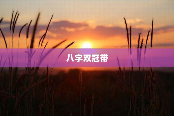 八字双冠带