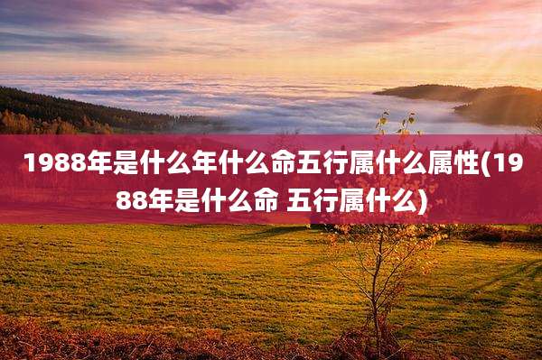 1988年是什么年什么命五行属什么属性(1988年是什么命 五行属什么)