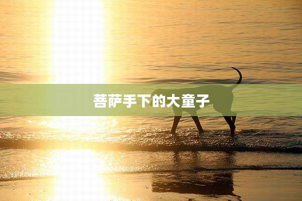 菩萨手下的大童子