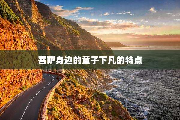 菩萨身边的童子下凡的特点