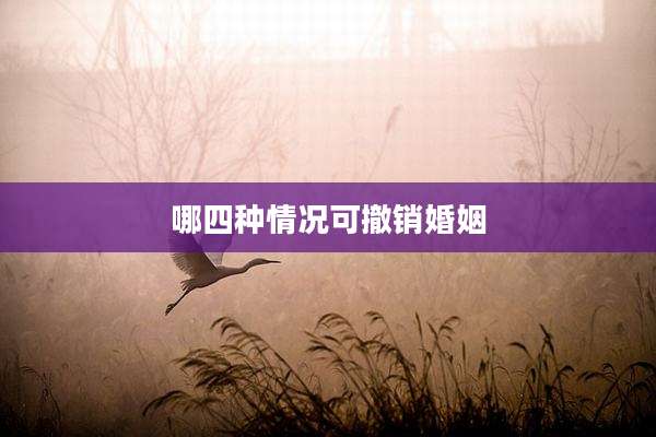 哪四种情况可撤销婚姻