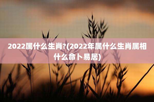 2022属什么生肖?(2022年属什么生肖属相什么命卜易居)